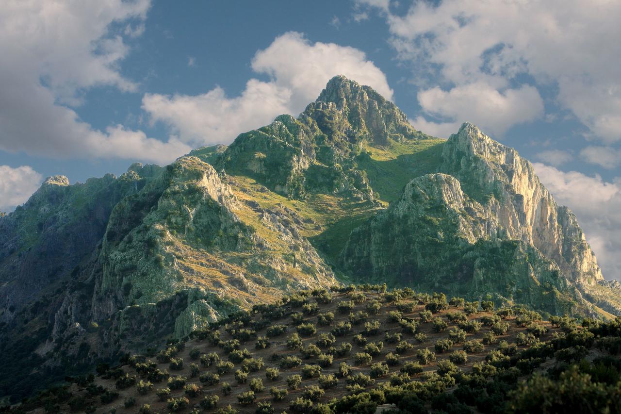 Casilla Dalea En Carcabuey, Descubre El Interior De Andalucia Villa ภายนอก รูปภาพ